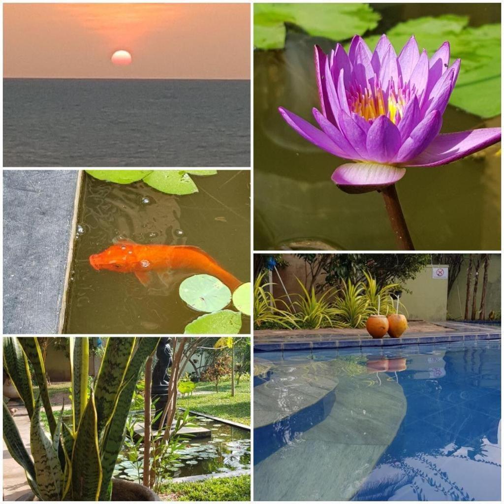 Solomon Beach Hotel 마라윌라 외부 사진