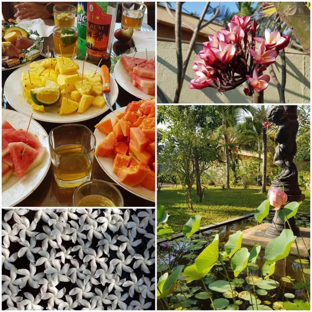 Solomon Beach Hotel 마라윌라 외부 사진